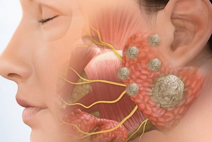 علماء يكتشفون عضوا غامضا كامنا في مركز رأس الإنسان 2
