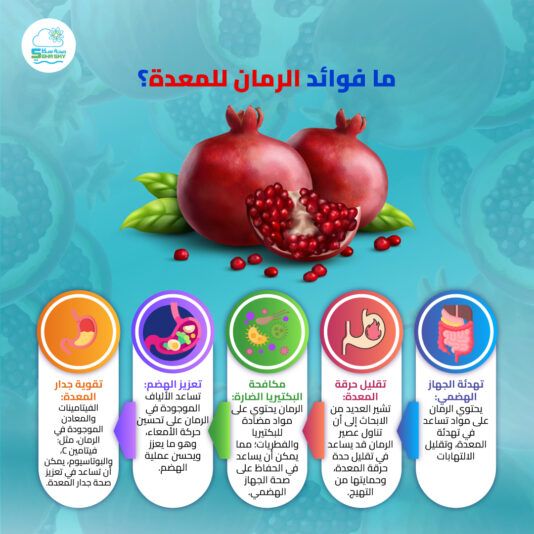 ما-فوائد-الرمان-للمعدة؟